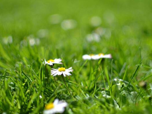 Grundstück zum Kauf 703,3 m² Grundstück Vöcklabruck 4840