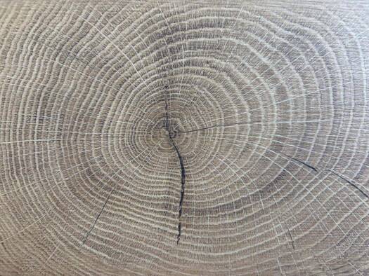 Einfamilienhaus zum Kauf 588.407 € 5,5 Zimmer 152,3 m² 422 m² Grundstück frei ab sofort Dülmen 48249