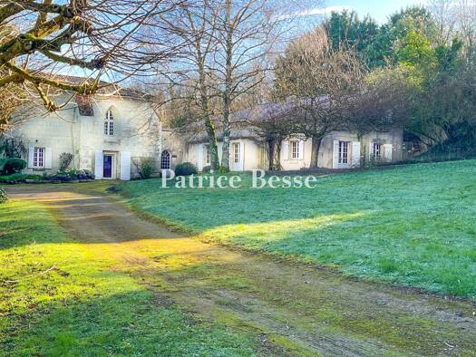 Haus zum Kauf 340.000 € 9 Zimmer 230 m² 2.936 m² Grundstück Naintré 86530