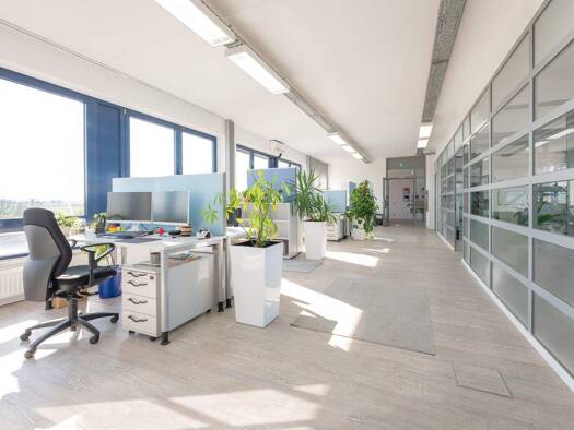 Bürofläche zur Miete provisionsfrei 5.730 € 440,8 m² Bürofläche Kalscheuren Hürth 50354