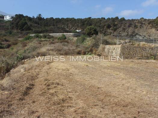 Grundstück zum Kauf provisionsfrei 55.000 € 2.780 m² Grundstück Teneriffa 38440