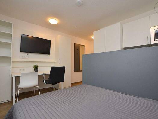 Wohnung zur Miete Wohnen auf Zeit 679 € 1 Zimmer 23 m² frei ab 01.02.2026 Innenstadt Aschaffenburg 63739