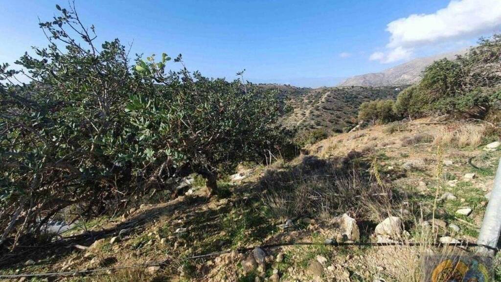 Grundstück zum Kauf 160.000 € 5.000 m² Grundstück * * Agia Galini 740 56