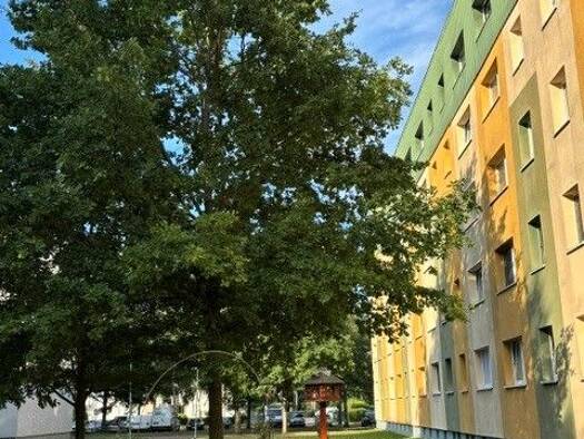 Wohnung zum Kauf 45.000 € 3 Zimmer 56 m² 4. Geschoss Roßlau Dessau-Roßlau 06862