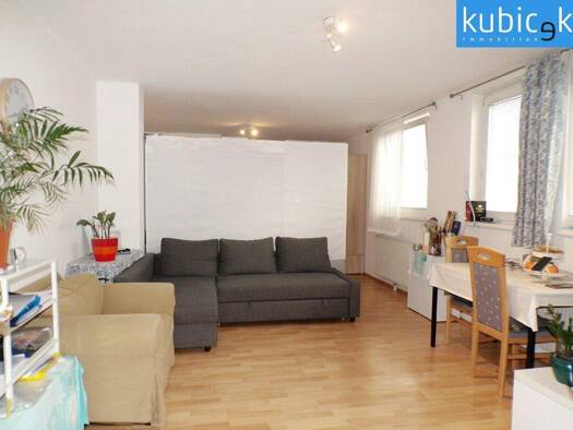Wohnung zur Miete 550 € 1,5 Zimmer 40,6 m² 1. Geschoss Wien 1220
