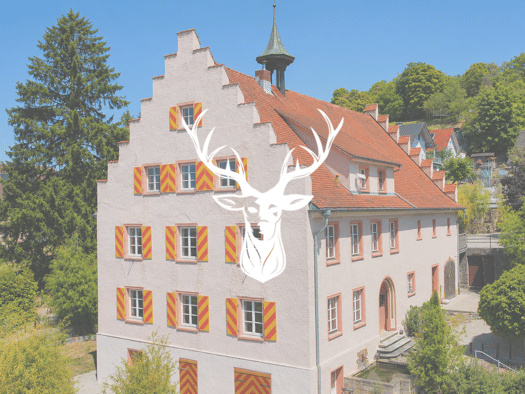 Schloss zum Kauf 1.299.000 € 7 Zimmer 272 m² 2.126 m² Grundstück Bettmaringen Stühlingen 79780