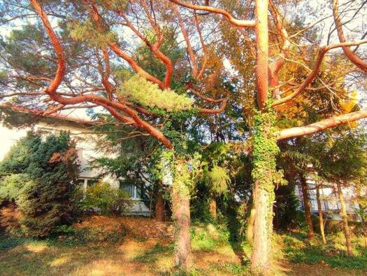 Einfamilienhaus zum Kauf 330.000 € 4 Zimmer 140 m² 800 m² Grundstück frei ab sofort Scheßlitz 96110