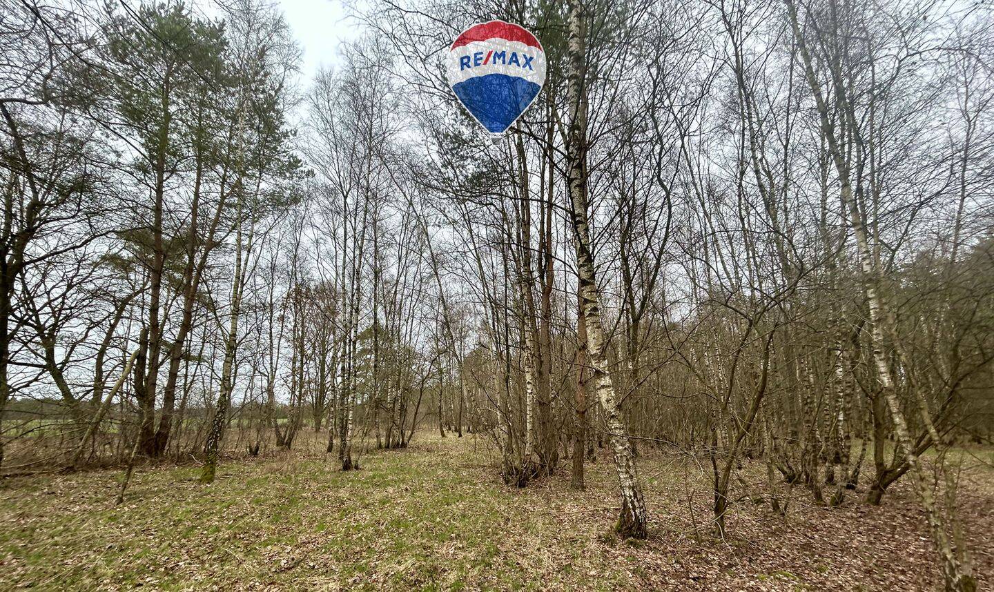 Land-/Forstwirtschaft zum Kauf - Mehr