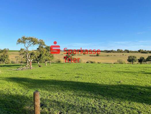 Grundstück zum Kauf provisionsfrei 93.670 € 493 m² Grundstück Newel 54309