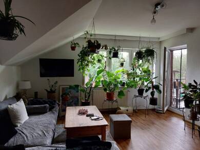 Wohnung zur Miete 480 € 3 Zimmer 73 m² Dachgeschoss, 2. Geschoss frei ab sofort General-Bishop Str. 21 e-i Espelkamp Espelkamp 32339