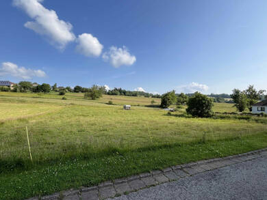 Grundstück zum Kauf 59.000 € 2.842 m² Grundstück Schönfeld Stadtkyll-Schönfeld 54589