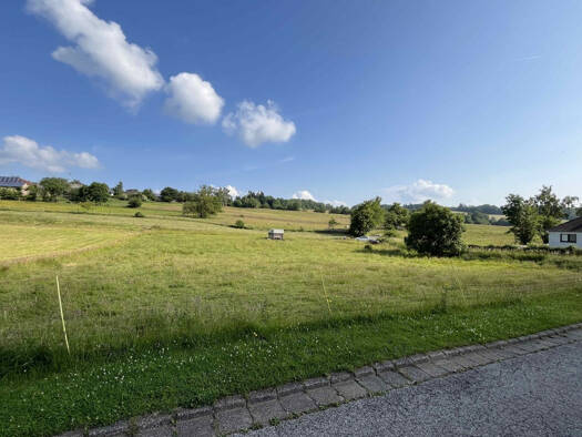 Grundstück zum Kauf 59.000 € 2.842 m² Grundstück Schönfeld Stadtkyll-Schönfeld 54589