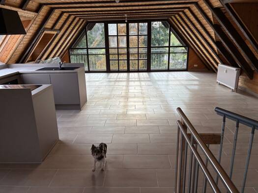 Studio zur Miete 1.200 € 1 Zimmer 120 m² Geschoss 2/2 frei ab sofort Eckersweiler Straße 27 Berschweiler bei Baumholder 55777