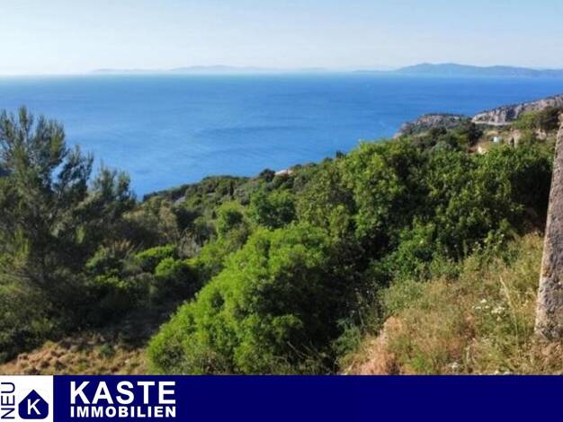 Grundstück zum Kauf 570.000 € 7.000 m² Grundstück Grosseto
