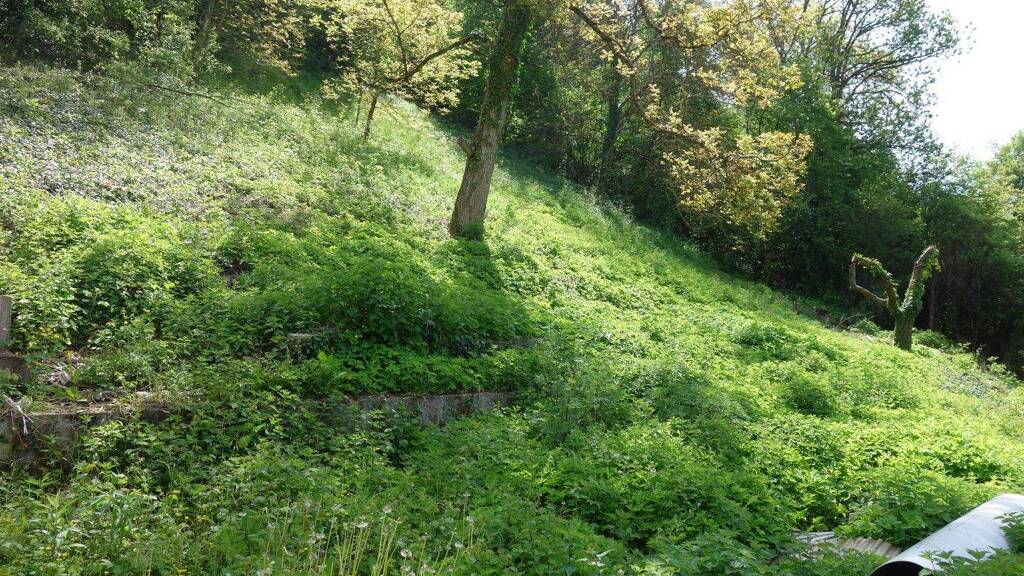 Grundstück zum Kauf 199.000 € 1.989 m² Grundstück Baugenehmigung vorhanden frei ab 01.03.2026 Aistaig Oberndorf am Neckar 78727