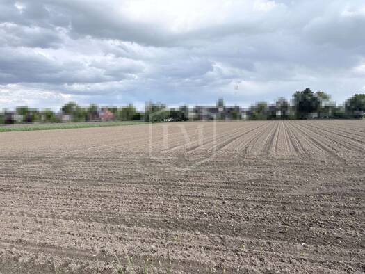 Landwirtschaftliche Fläche zum Kauf 124.000 € 7.749 m² Grundstück Büderich Meerbusch 40667