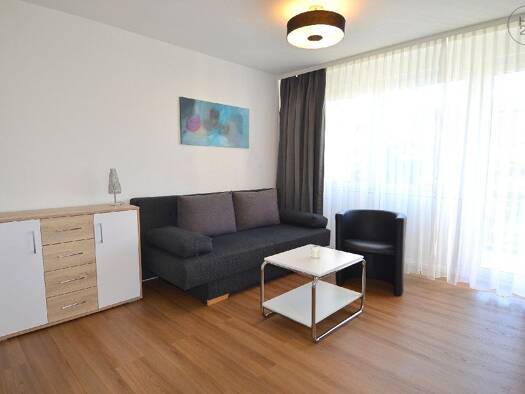 Wohnung zur Miete 1.300 € 2 Zimmer 45 m² 1. Geschoss frei ab sofort Grenzach Grenzach-Wyhlen 79639