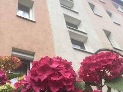 Wohnung zur Miete 316 € 2 Zimmer 47,1 m² 1. Geschoss frei ab sofort Wettiner Ring 56 Colditz 04680