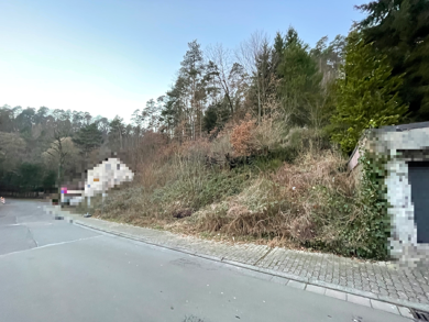 Grundstück zum Kauf 85.000 € 938 m² Grundstück Weidenthal 67475