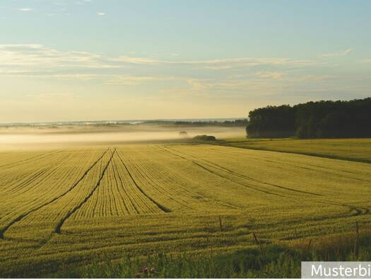 Land-/Forstwirtschaft zum Kauf 499.000 € 49.206 m² Grundstück Engden 48465
