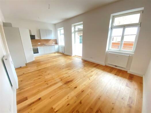 Wohnung zur Miete 750 € 3 Zimmer 75,2 m² EG Merseburger Strasse 102 Innenstadt Halle 06110