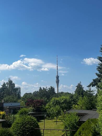 Doppelhaushälfte zum Kauf 300.000 € 5 Zimmer 90 m² 1.010 m² Grundstück Rochwitz Dresden 01326