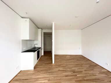 Wohnung zur Miete 772,73 € 1 Zimmer 30,9 m² 5. Geschoss Wien, Donaustadt 1220