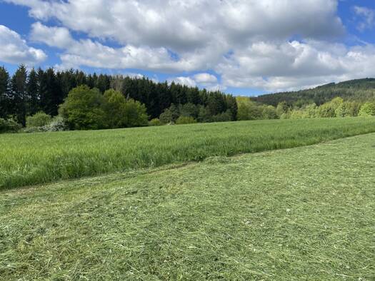 Land-/Forstwirtschaft zum Kauf 10.777 m² Grundstück Miesbrunn Pleystein / Miesbrunn 92714