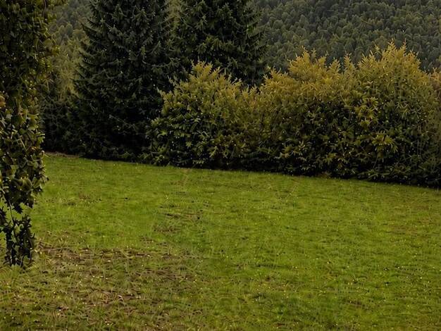 Grundstück zum Kauf 74.000 € 603 m² Grundstück Lemberg Lemberg 66969