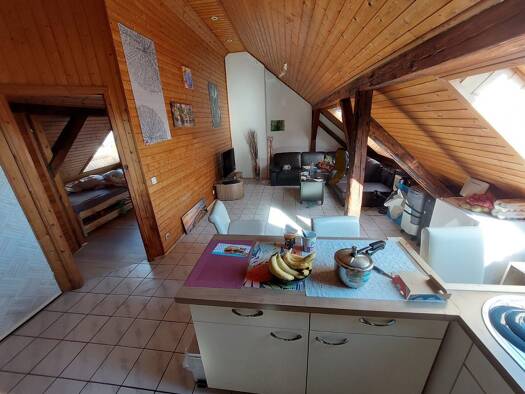 Wohnung zur Miete 600 € 3 Zimmer 64 m² Geschoss 4/5 frei ab sofort Ludwigstraße 24 Innenstadt Halle (Saale) 06110