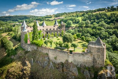 Schloss zum Kauf 2.950.000 € 20 Zimmer 1.145 m² 66.653 m² Grundstück Saint-Flour 15100