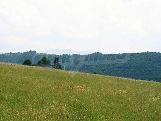 Grundstück zum Kauf 270.000 € Gabrovo