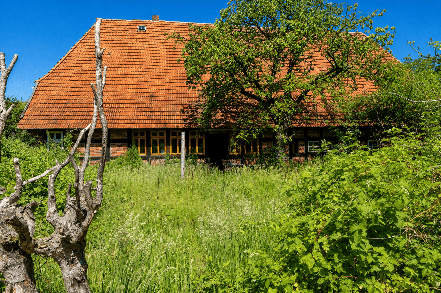 Bauernhaus zum Kauf - Ansicht 3