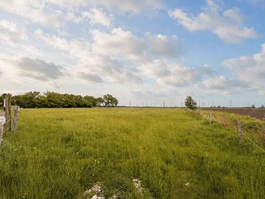 Land-/Forstwirtschaft zum Kauf 35.000 € 13.180 m² Grundstück Neuharlingersiel Neuharlingersiel 26427
