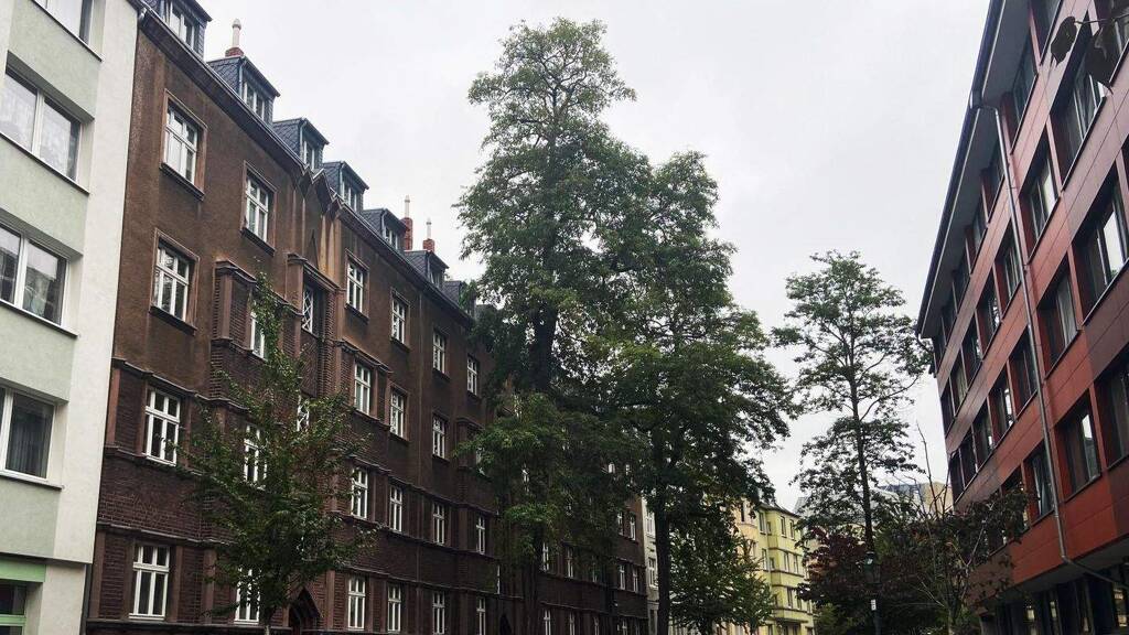 Wohnung zum Kauf 680.000 € 4 Zimmer 107 m² 3. Geschoss Derendorf Düsseldorf 40476