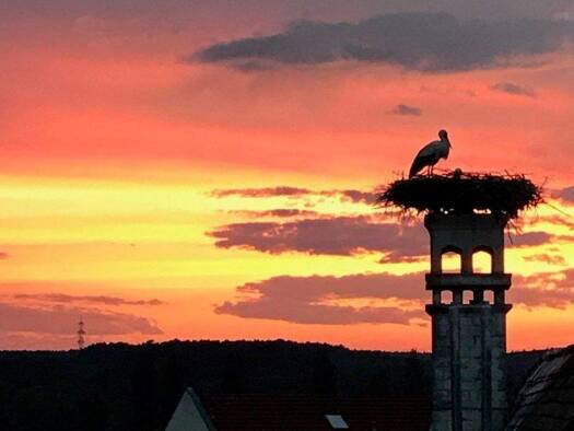 Haus zum Kauf frei ab sofort Heroldsbach 91336