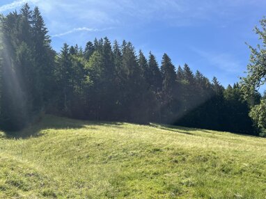 Land-/Forstwirtschaft zum Kauf 60.000 € 13.390 m² Grundstück Oberstaufen Oberstaufen 87534