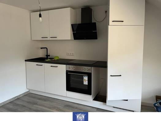 Wohnung zur Miete 313 € 2 Zimmer 52,2 m² Freiberg 09599