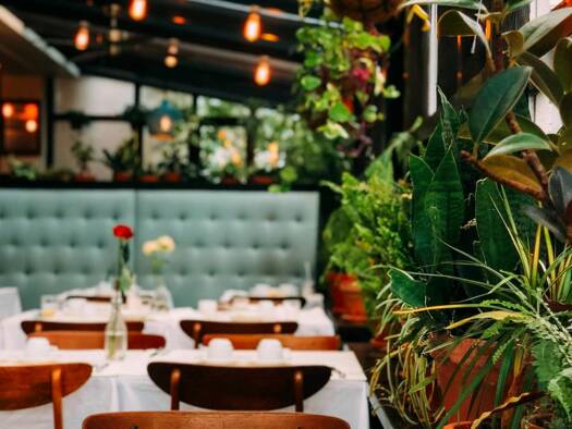 Ladenfläche zur Miete 500 m² Verkaufsfläche teilbar ab 500 m² Seevorstadt-Ost/Großer Garten Dresden 01069