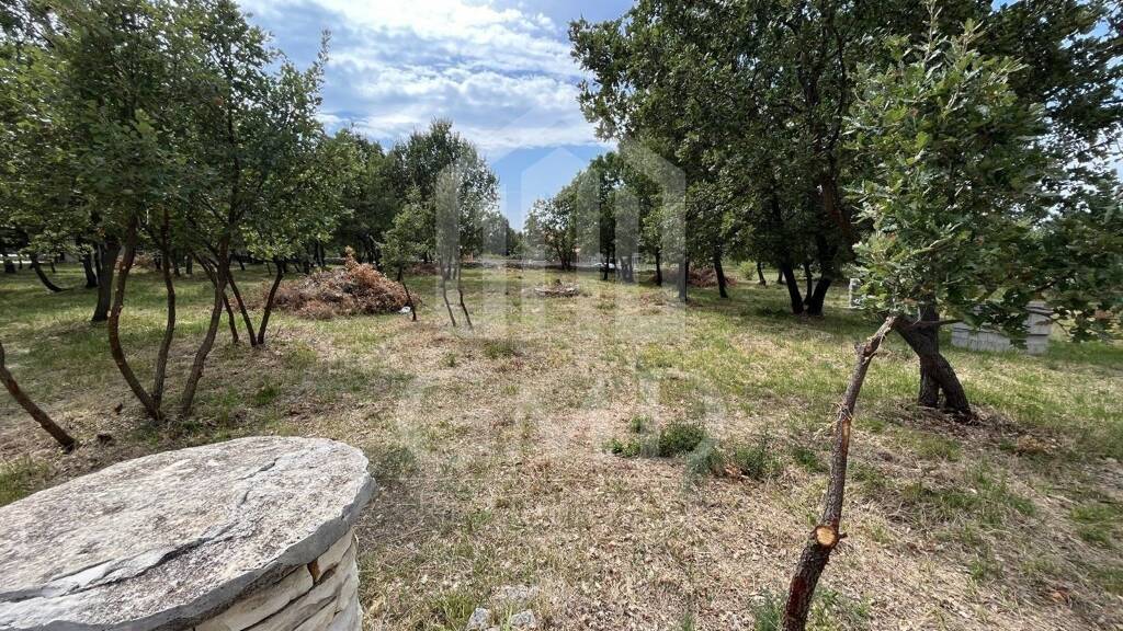 Land-/Forstwirtschaft zum Kauf 30.700 € Barbariga