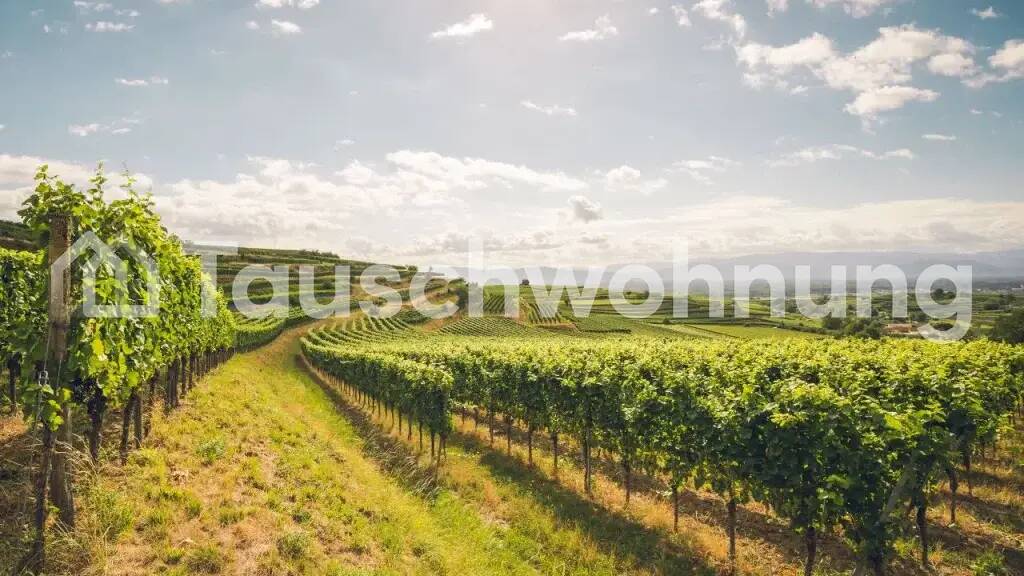 Wohnung zur Miete Tauschwohnung 1.100 € 3,5 Zimmer 130 m² EG Bötzingen 79268