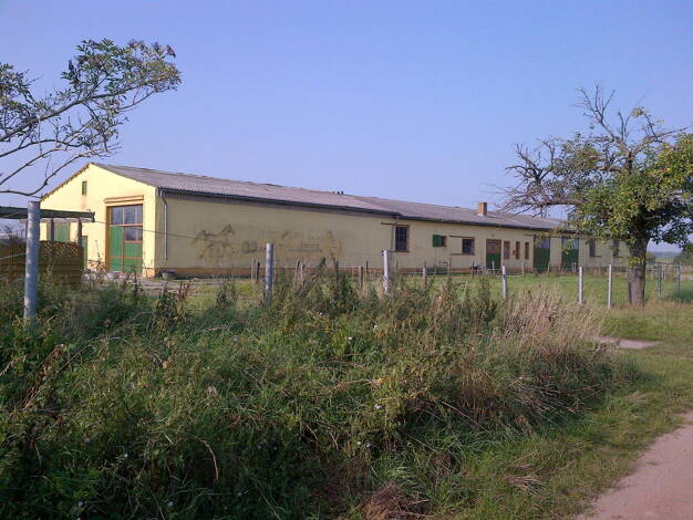 Reiterhof zum Kauf provisionsfrei 329.000 € Küsterstege 4 Linum 16833