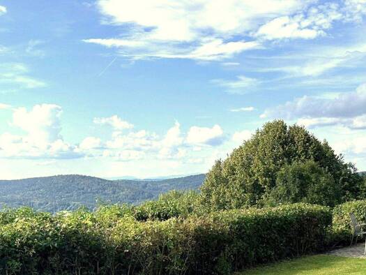 Studio zum Kauf 61.900 € 1 Zimmer 33 m² 1. Geschoss Mitterdorf Schöfweg 94572