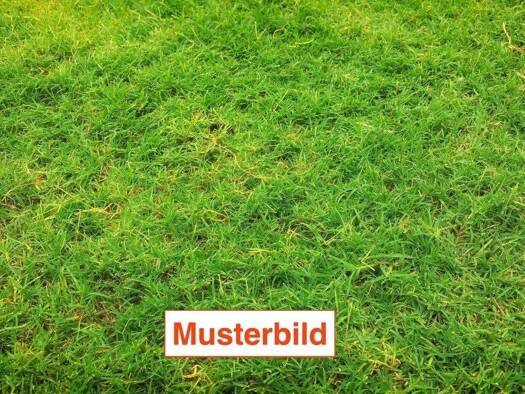 Grundstück zum Kauf 339.000 € 709 m² Grundstück Schwalheim Bad Nauheim 61231