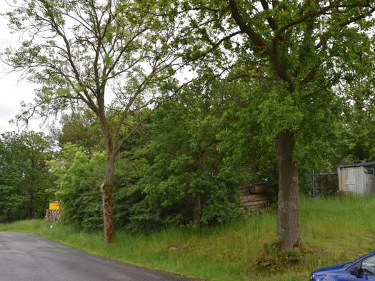 Grundstück zum Kauf 17.000 € 8.347 m² Grundstück Straße der Solidaroität 0 Geilsdorf Weischlitz 08538