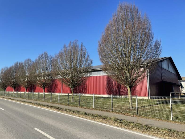 Lagerhalle zur Miete 1,83 € 1.860 m² Lagerfläche teilbar ab 1.860 m² Duchtlingen Hilzingen-Duchtlingen 78247