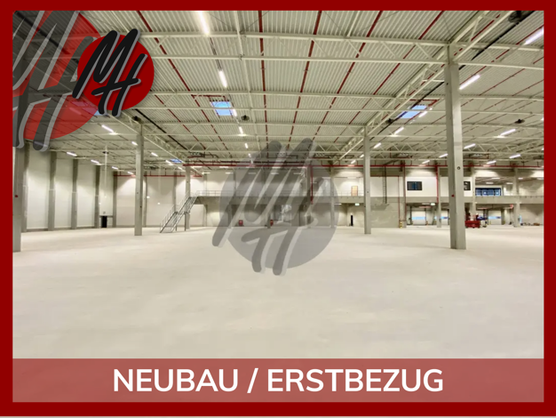 Halle/Industriefläche zur Miete - Erstbezug 10.000 m² Lagerfläche Bielefeld 33699