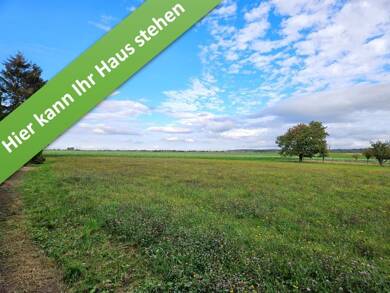 Einfamilienhaus zum Kauf provisionsfrei 350.590 € 5 Zimmer 144 m² 653 m² Grundstück Leinder Weg Cramme 38312