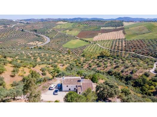 Villa zum Kauf 379.500 € 6 Zimmer 40.000 m² >Polígono 18 Parcela 12 MORISCOS. COLMENAR > Colmenar 29170