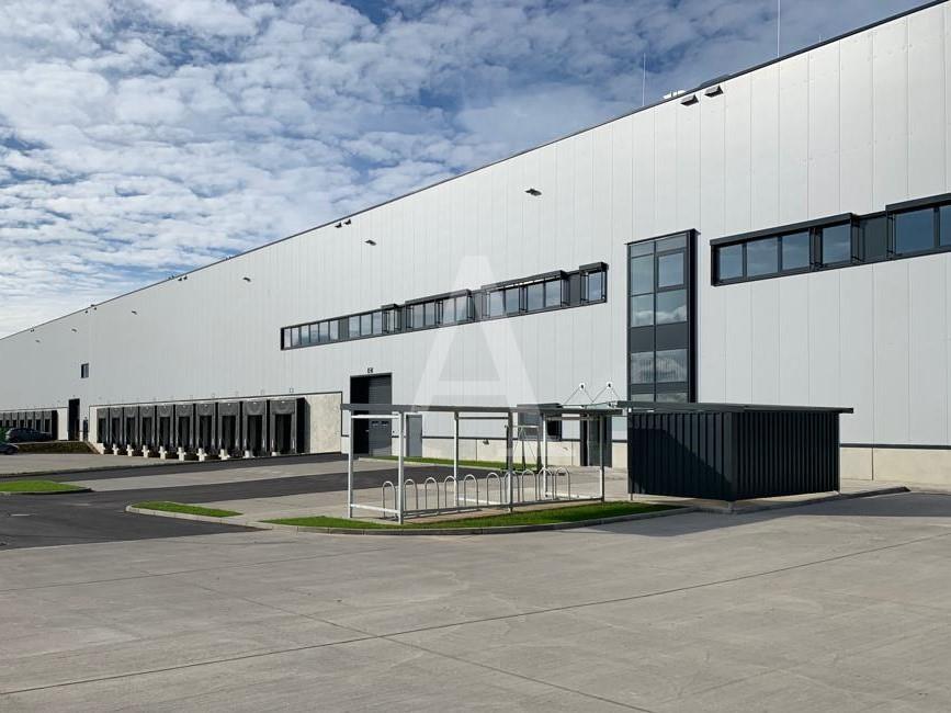 Halle/Industriefläche zur Miete 8.000 m²<br/>Lagerfläche ab 8.000 m²<br/>Teilbarkeit Innenstadt Frechen 50226